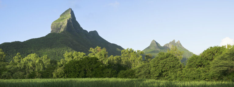 Accompagnement d’entreprises de l’Océan Indien à l’intégration stratégique de la biodiversité